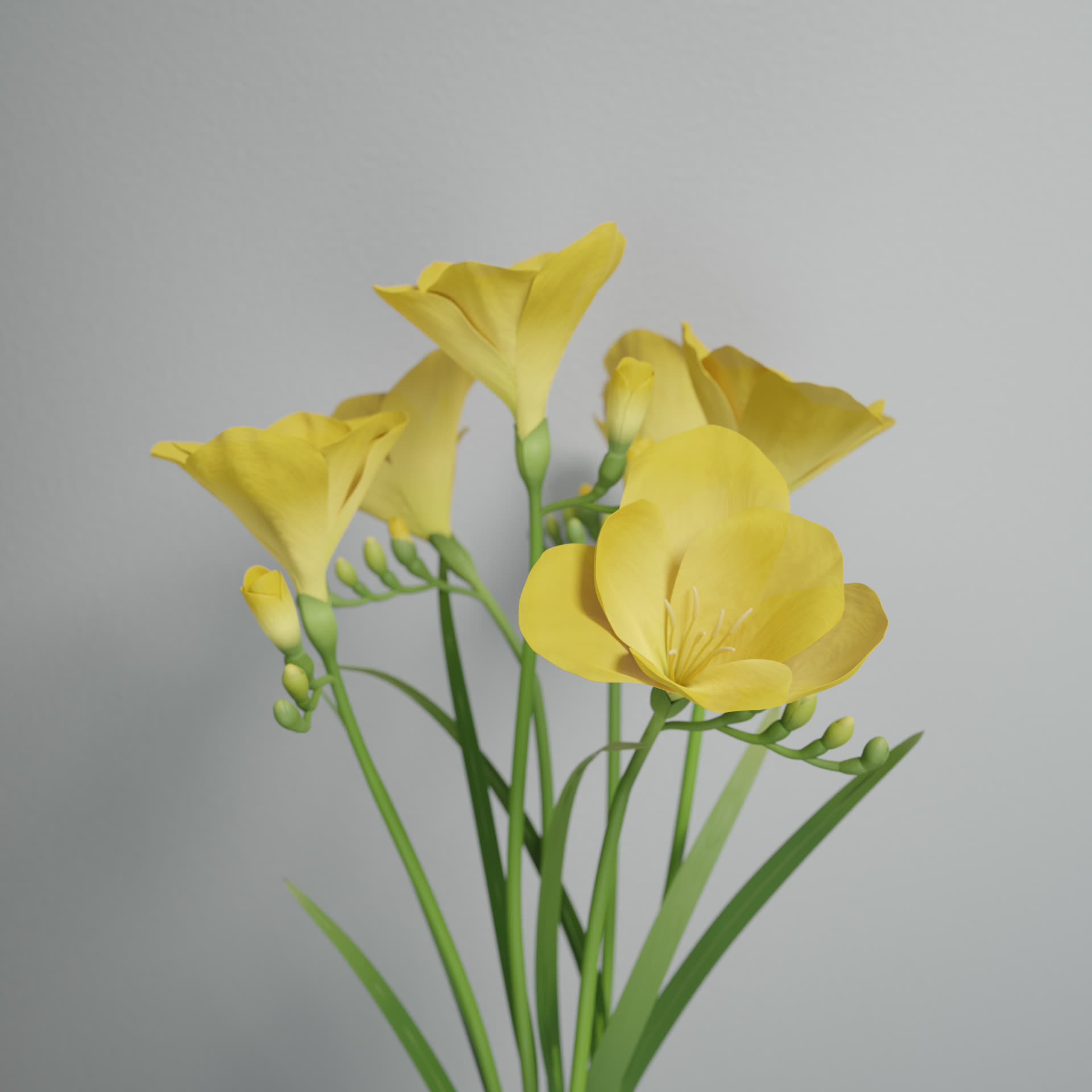 フラワー 3DCG